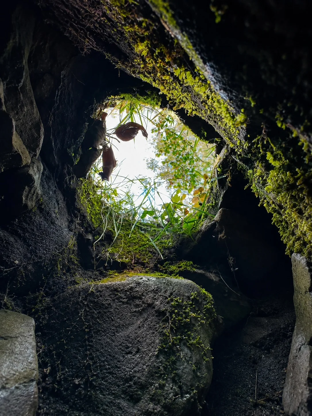 Daylight through the moss-covered stone opening of an old Irish sweathouse